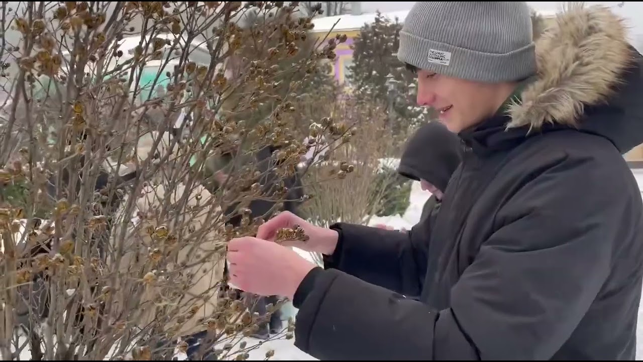 Тиха акція