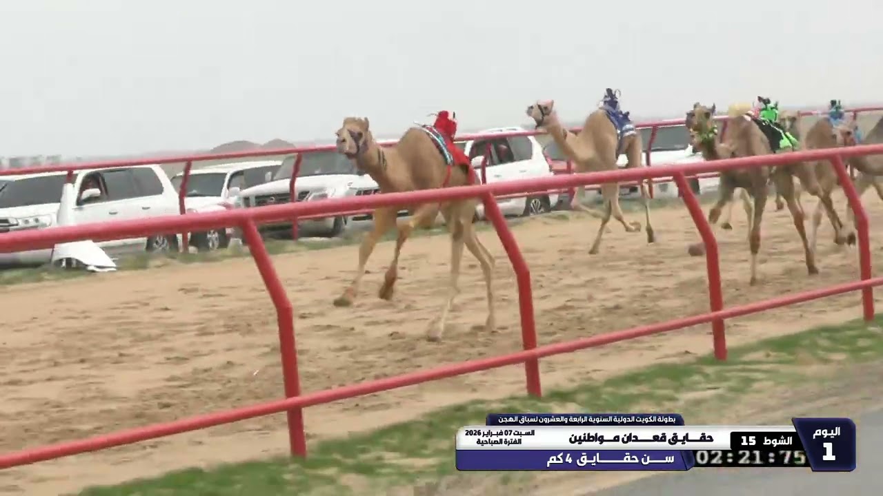 15 الشوط الخامس عشر حقايق قعدان مواطنين السبت 07 02 2026