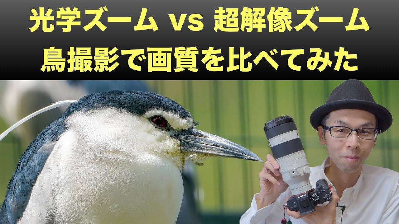 【鳥で実験！】全画素超解像ズームと光学ズームの画質のちがい【SONY FE100-400mm F4.5-5.6 GM OSS/レンズレビュー】