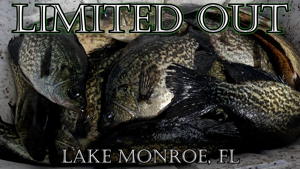 Crappie Fishing Lake Monroe, Fl. (LIMITED OUT) catch clean cook