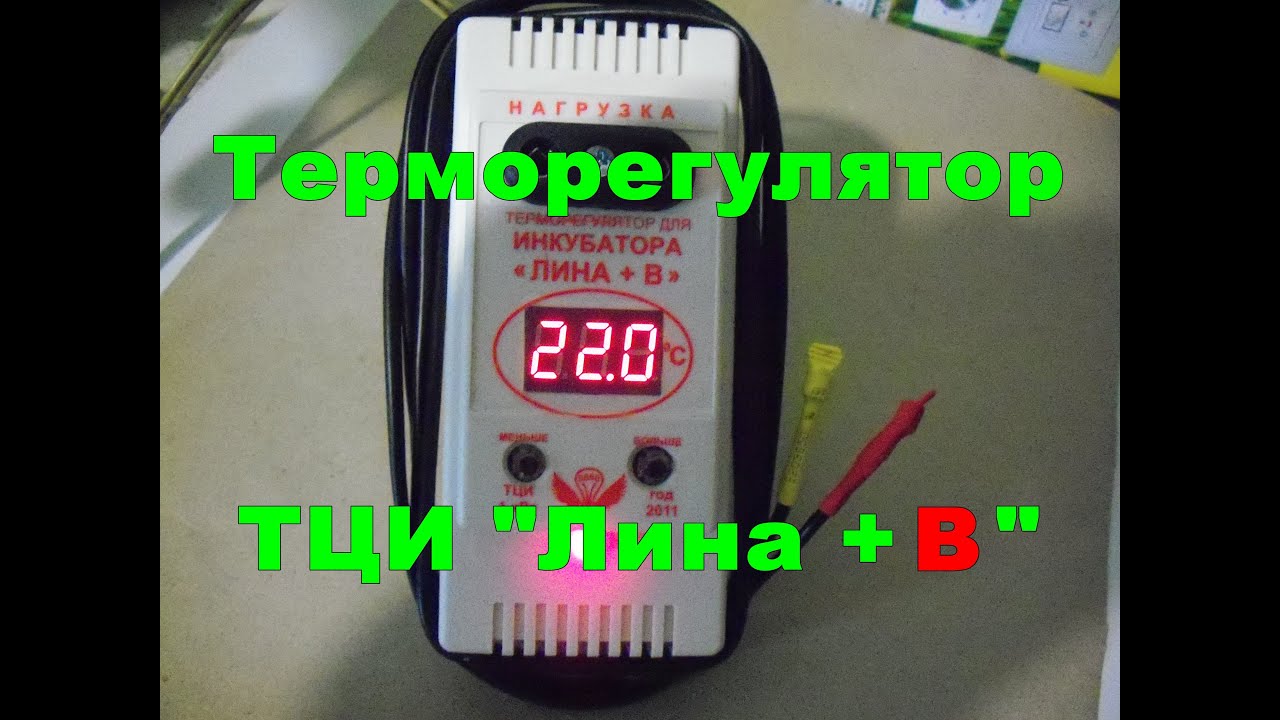 Терморегулятор для инкубатора Лина + В