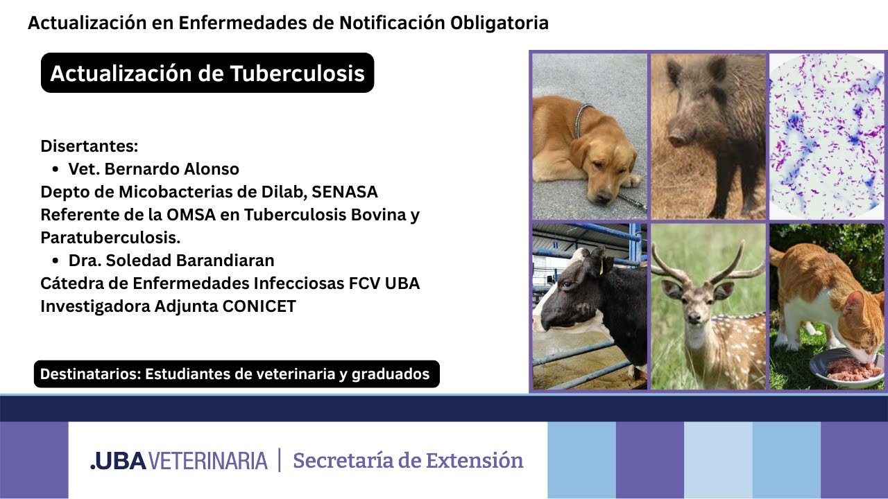 Actualización en Enfermedades de Notificación Obligatoria: Tuberculosis