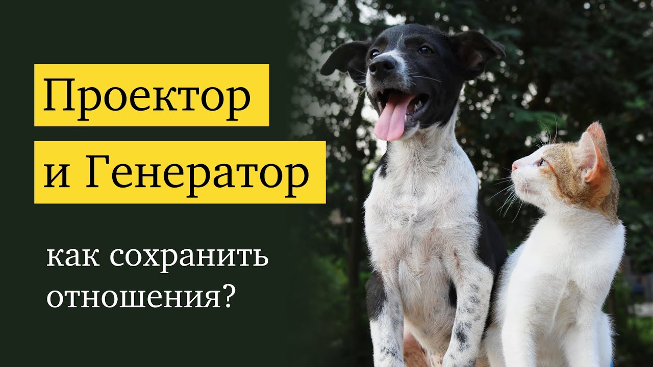 Отношения проектора и генератора: сложности, язык любви, пассивность и не/внимательность