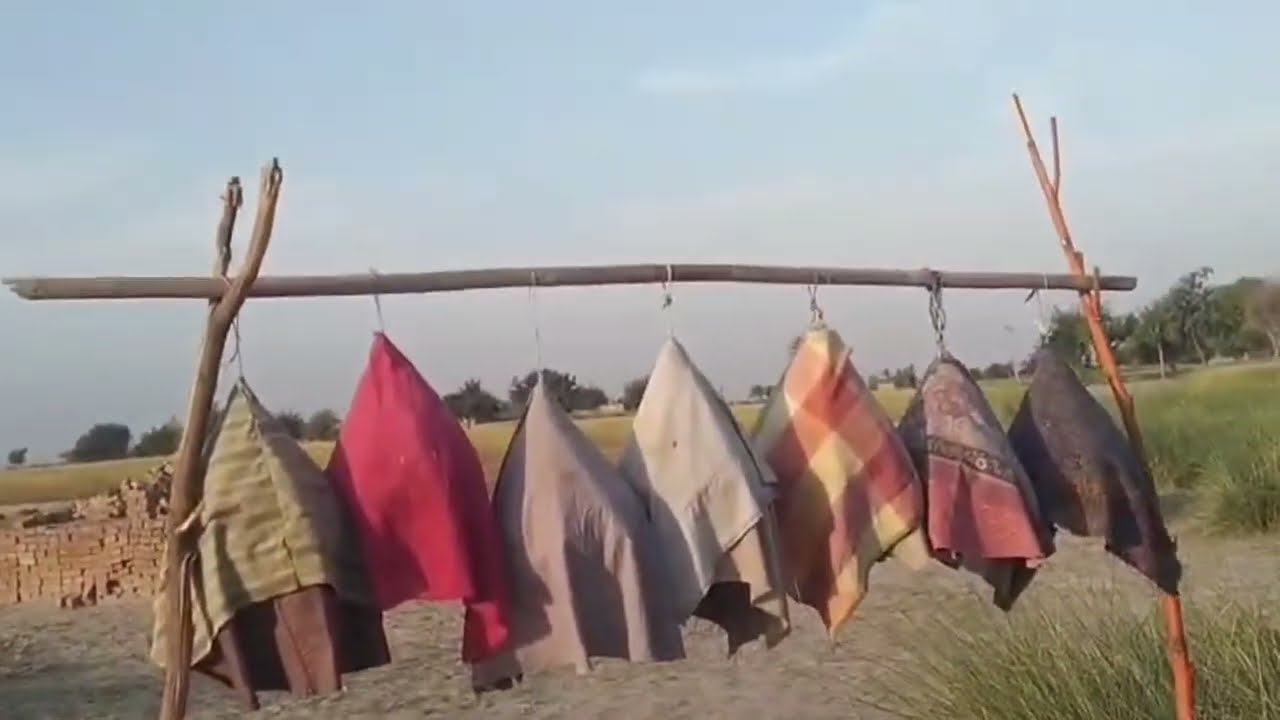 Nature relaxing birds sound||one hour quail sound||quail sound || batir ki aawaz||بٹیر کی بولی 