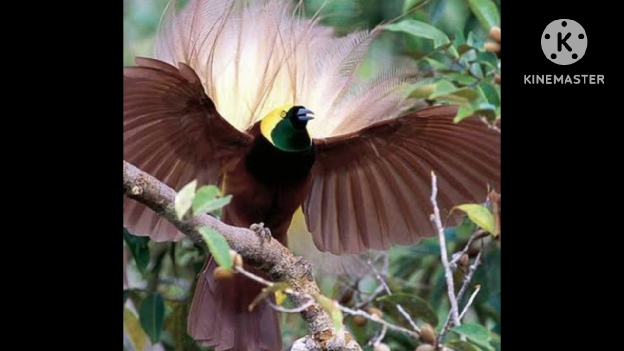 الرساله دى مش زى اى رساله لعل الله اراد بك الخير حتى تصلك