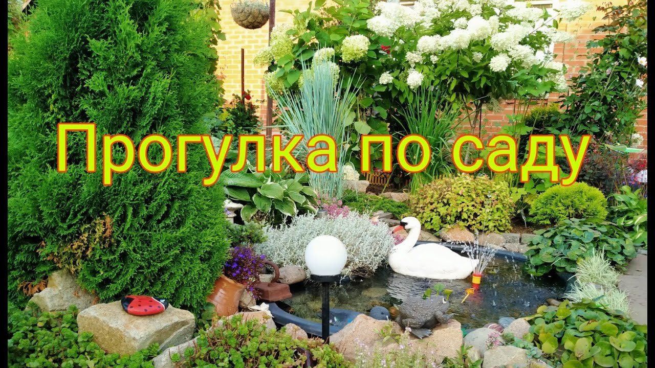 МОЙ ЦВЕТУЩИЙ САД НА 12 АВГУСТА 🤗💐