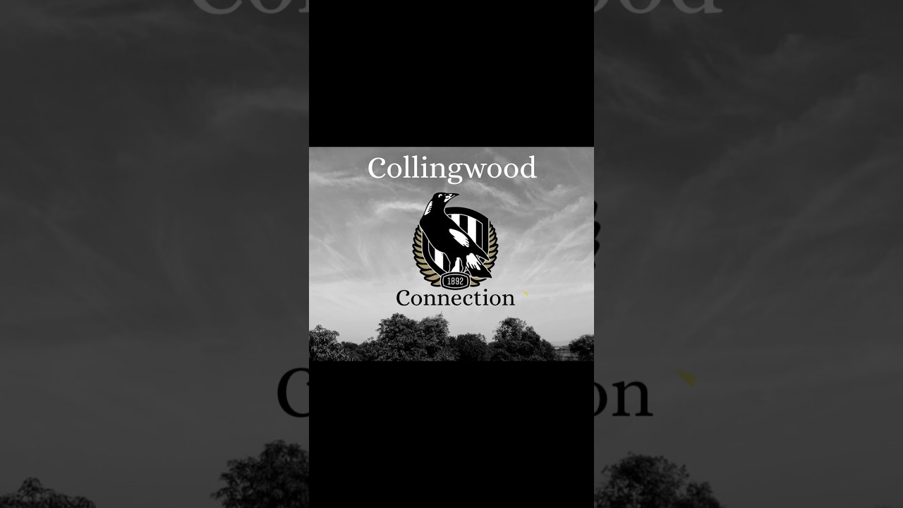 Collingwood vs Adelaide Review