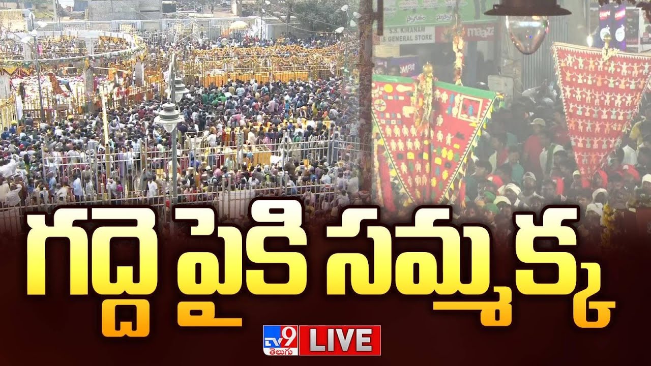 గద్దె పైకి సమ్మక్క LIVE | Medaram Jatara 2026 | Sammakka Saralamma Jatara - TV9