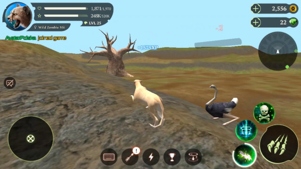 The Cheetah Online Simulator