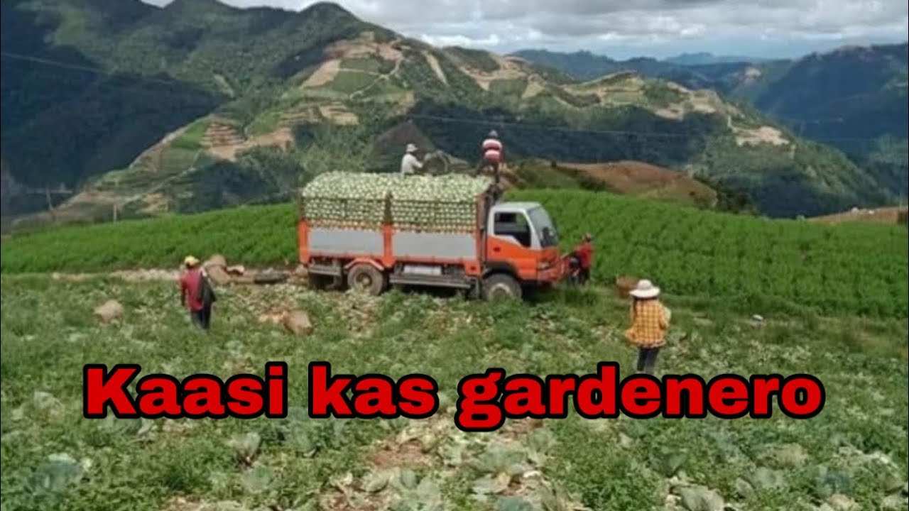 KAASI KAS GARDINERO kankanaey song /benguet farmers