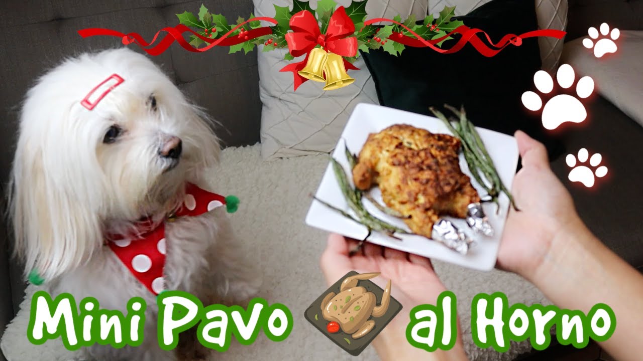 Prepara un Pavo al horno para PERROS en NAVIDAD I Lorentix