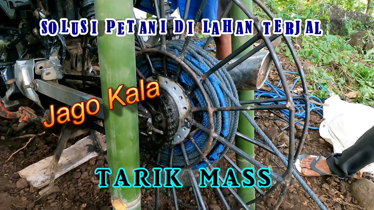 Cara Meringankan Pekerjaan Memanen Hasil Jagung Di lokasi Yg Terjal..Dgn AlaT ( TARIK MASS )