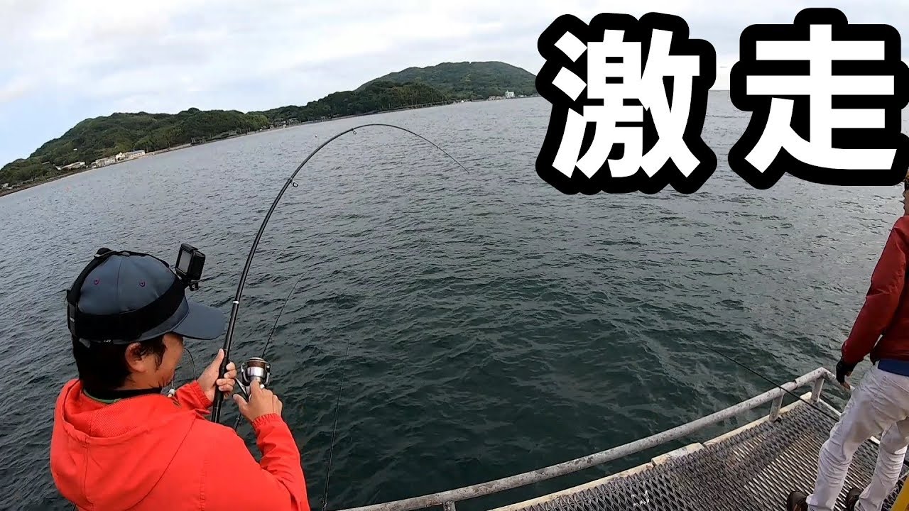 海釣り公園泳がせ釣りで子供もビビる巨生物を釣りあげろ❗