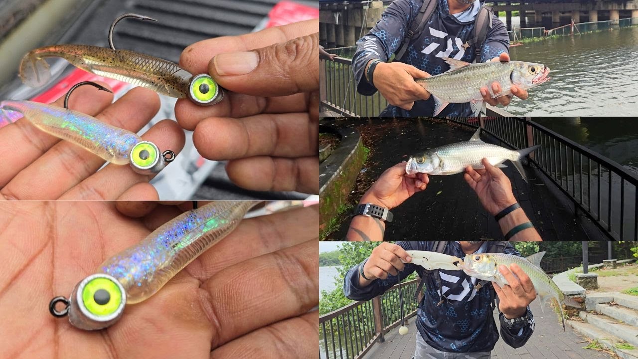 THIS LURE KEPT GETTING SMASHED - FISH ARROW FLASH-J SHAD - JUST CAST & RETRIEVE - FISHING MADE EASY!