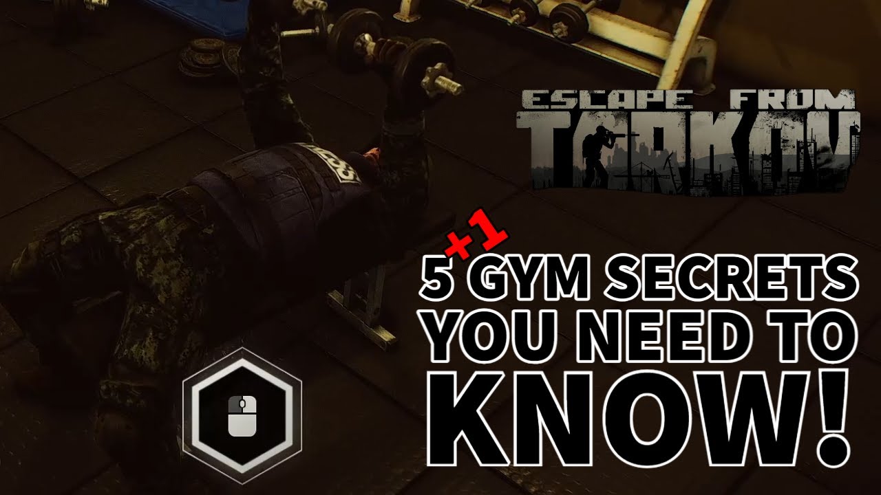 Tarkov Gym Complete Guide! - How to Build, What it does, & More!