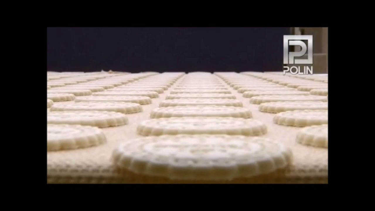 POLIN Industrial Rotary Moulding & Rotary Cutting Combi Line - ProBAKE Bakery Equipment