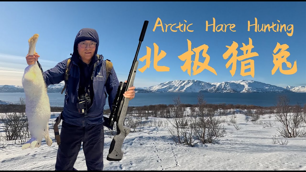 挪威北极圈冬季孤岛48小时独自狩猎｜热成像追踪雪兔与雷鸟 48 Hour Arctic Solo Hunt in Norway
