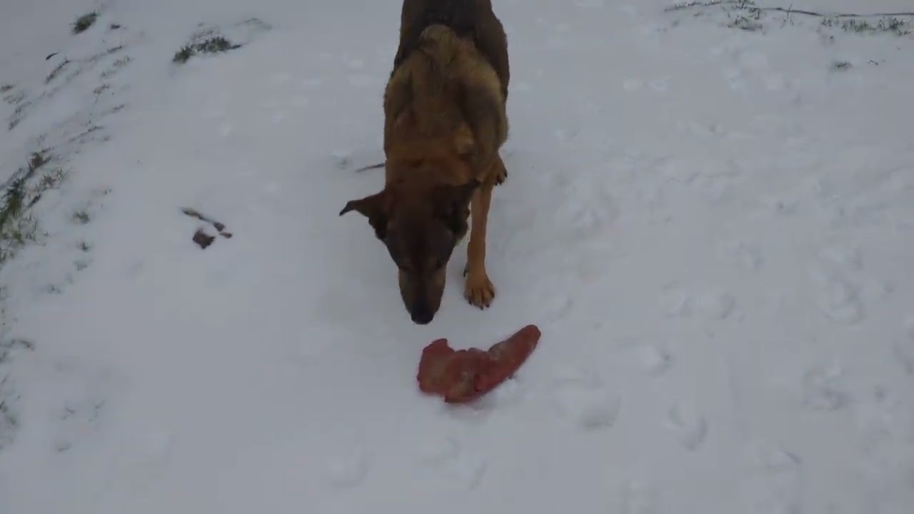 PXL 20260125 1245184761