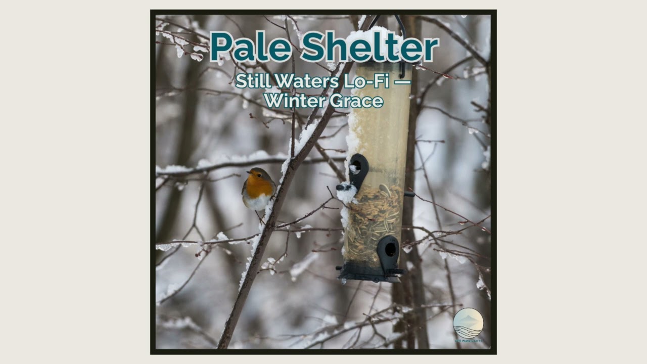 Pale Shelter — Still Waters Lo-Fi — Winter Grace