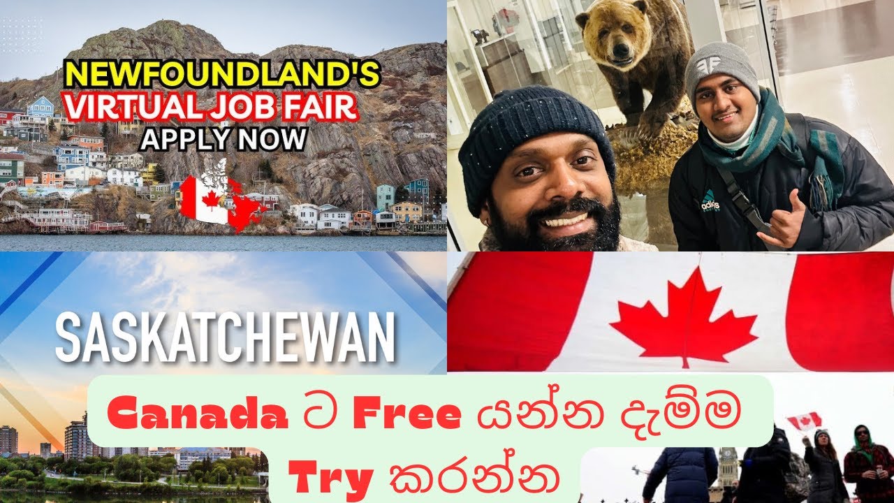 Canada ට සල්ලි දෙන්නෙ නැතිව Job එකකට Apply කරමු😳කාගෙද මේ අළුත් මූණ🤷‍♂️🇨🇦