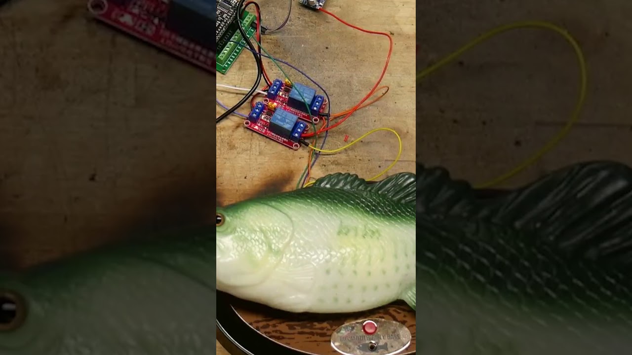 Chat controlled billy bass wants out