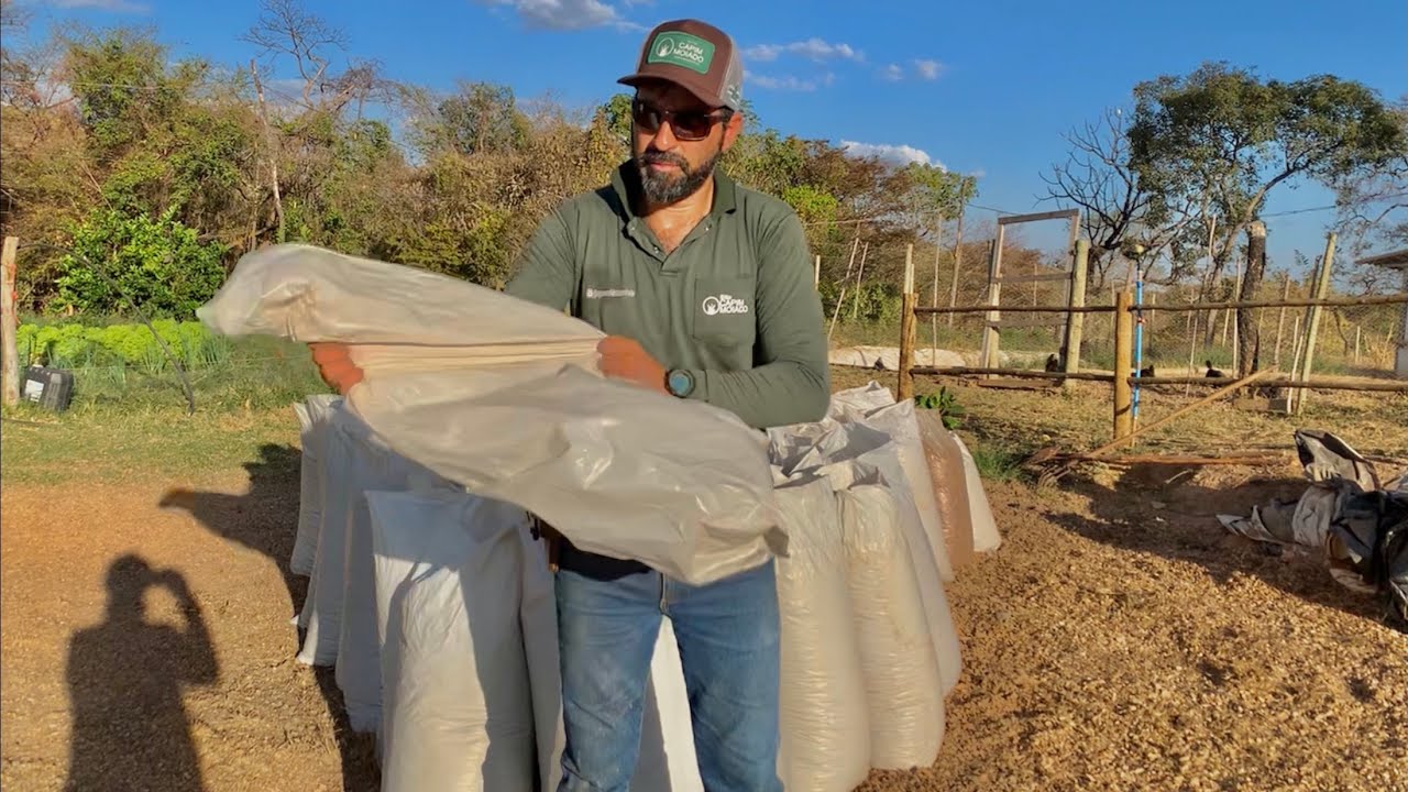 FABRÍCIO FICOU BRAVO COM O PREÇO DO SACO PLÁSTICO DE ENSACAR SILAGEM | SERÁ QUE COMPENSA MESMO ? 😡
