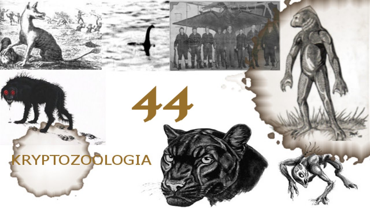44# Kryptozoologia - Mngawa, Muhuru, Ngoubou, Yara-ma-yha-who, Ningen