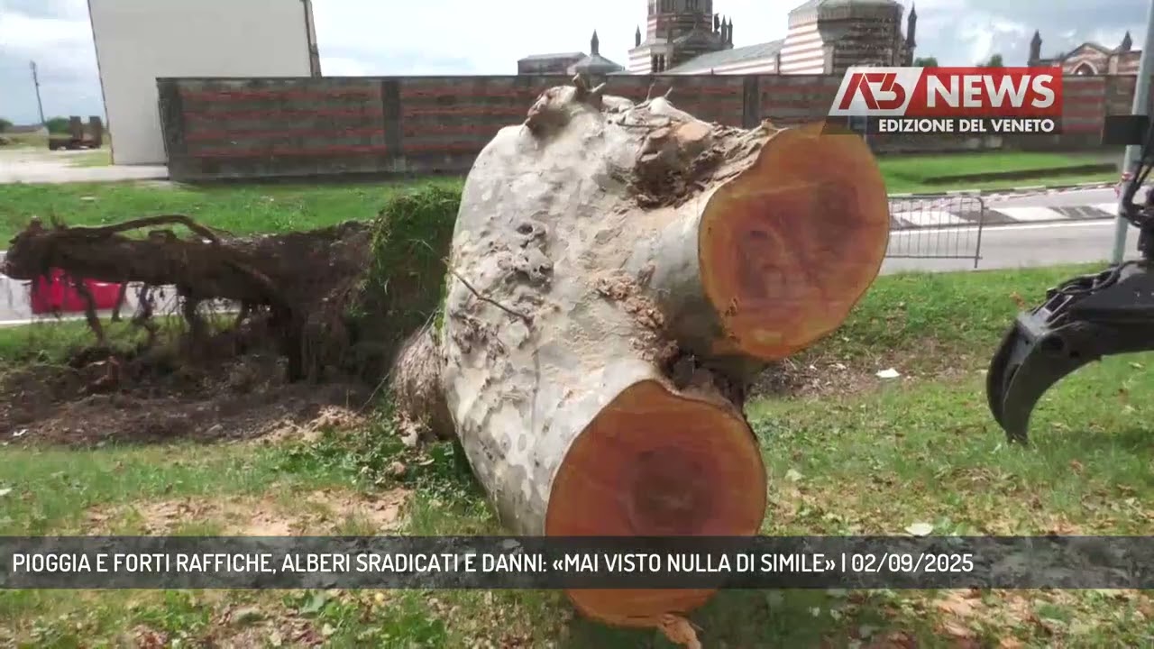 PIOGGIA E FORTI RAFFICHE, ALBERI SRADICATI E DANNI: «MAI VISTO NULLA DI SIMILE» | 02/09/2025