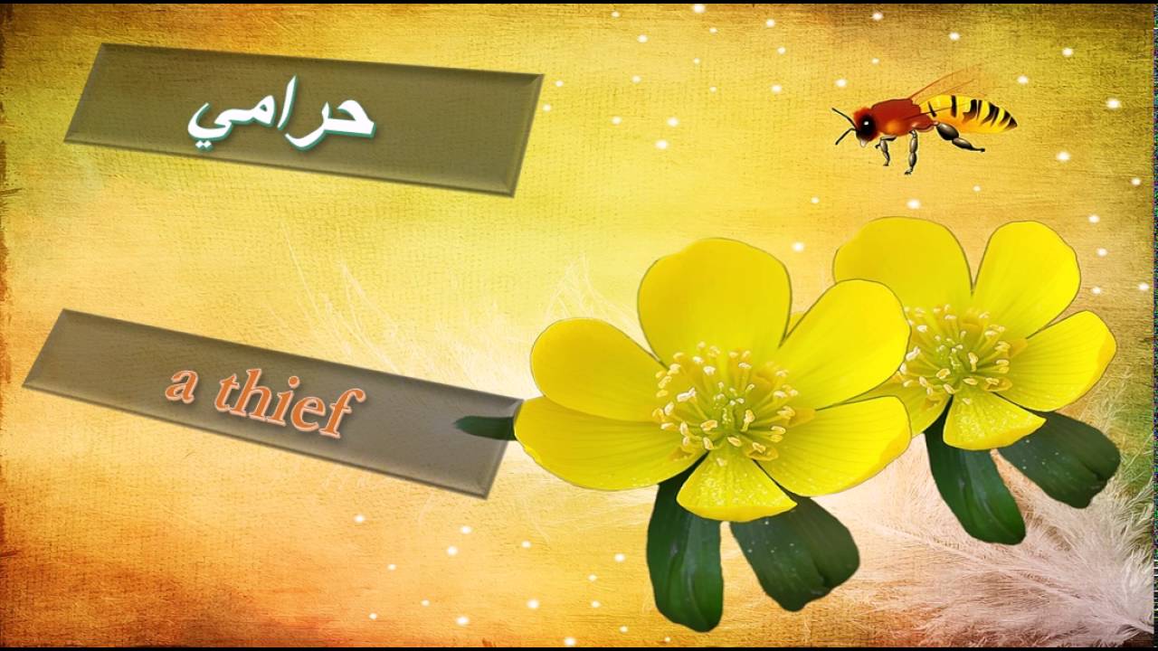 learn 1000 Levantine Arabic words in English/ 6th lesson