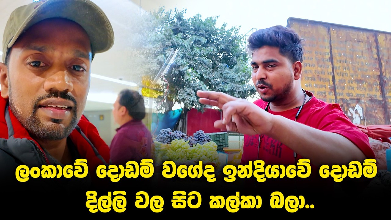 ලංකාවේ දොඩම් වගේද ඉන්දියාවේ දොඩම්...#trevlingvlog #ndiaTravel #IncredibleIndia #TravelDiaries