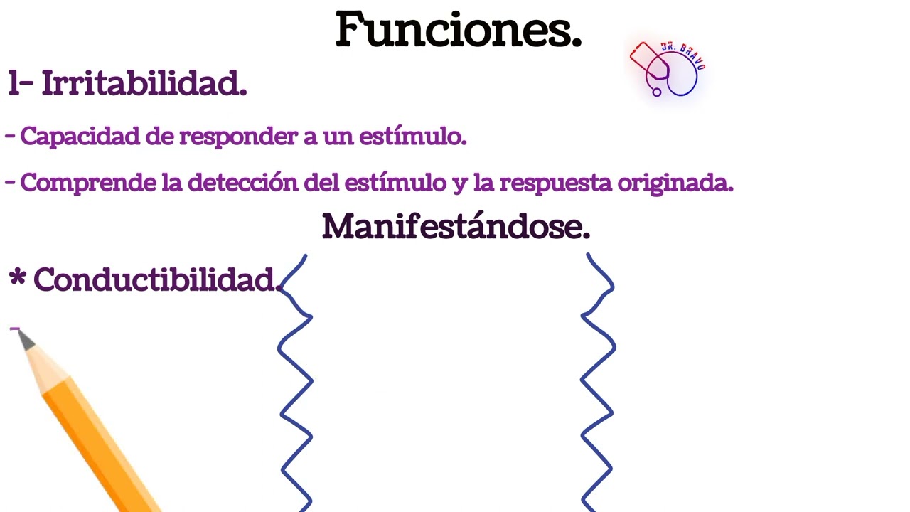 Protoplasma.