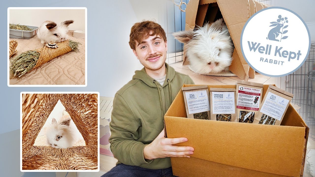 I spent WAY TOO MUCH money 💰😅 HUGE Rabbit HAUL & Cage makeover