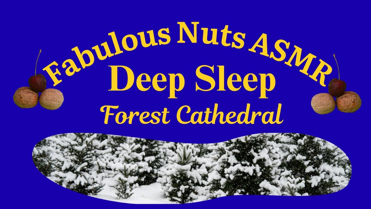 Midnight Silence in the Frozen Cathedral