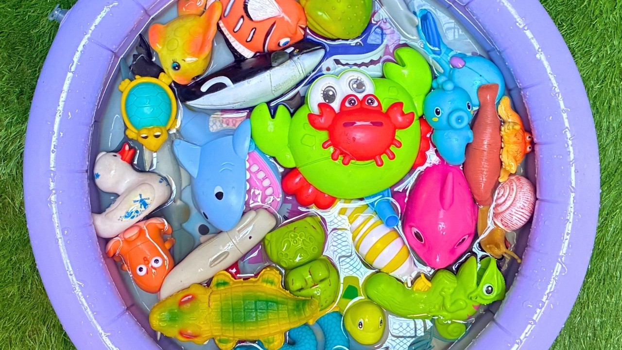 Ocean Animals For Kids & Toddlers | Learn Ocean Animals with Educational Toys