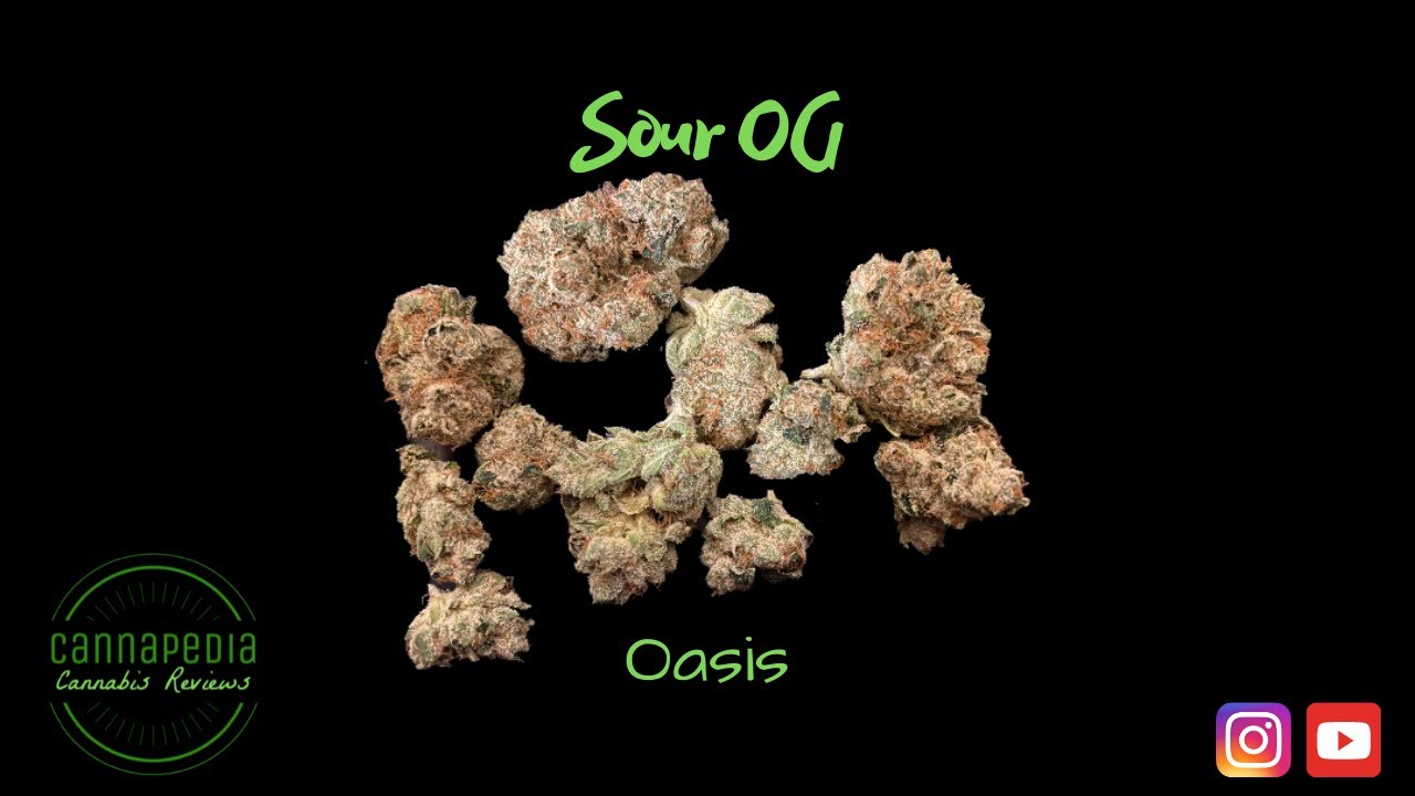 Sour OG Strain Review - Oasis - Cannapedia