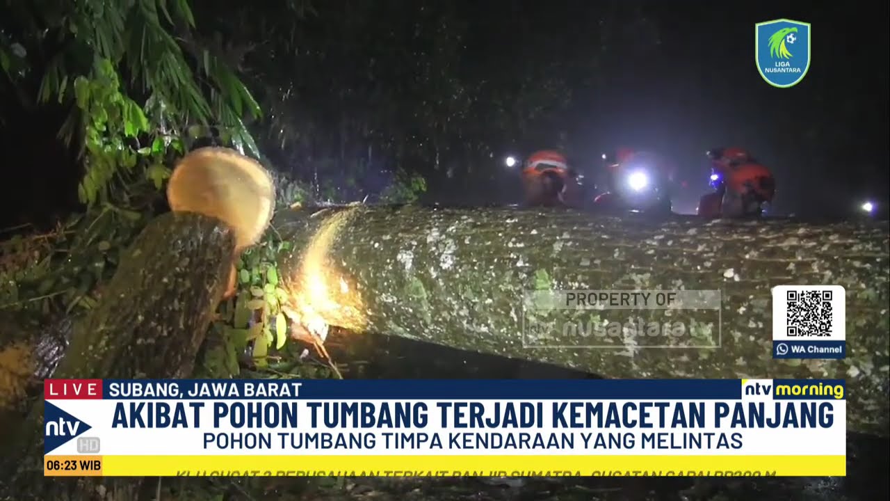 Ngeri! Pohon Raksasa Tumbang di Subang, Pengendara Motor Jadi Korban | NTV MORNING