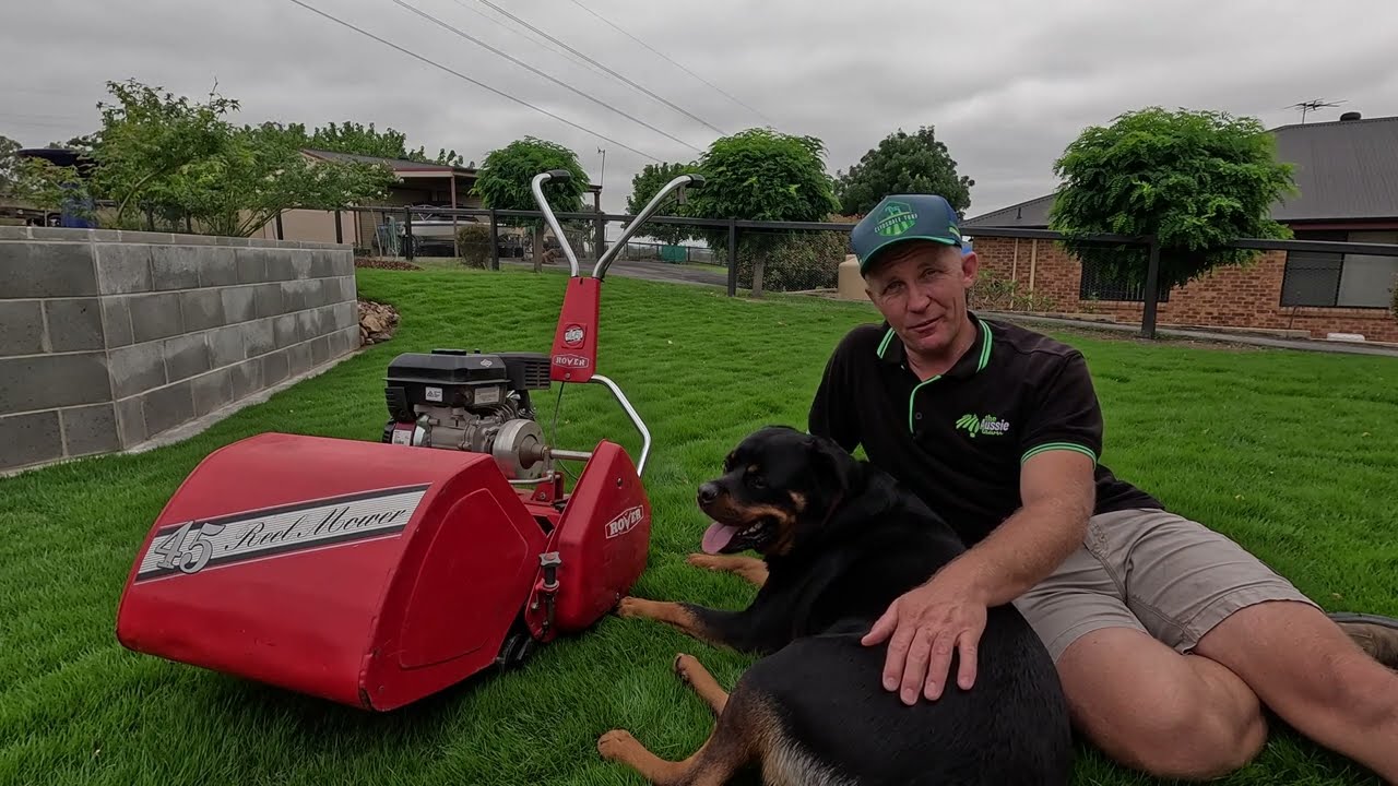 Mowing My Newly Laid Sir Grange Zoysia lawn for the first time