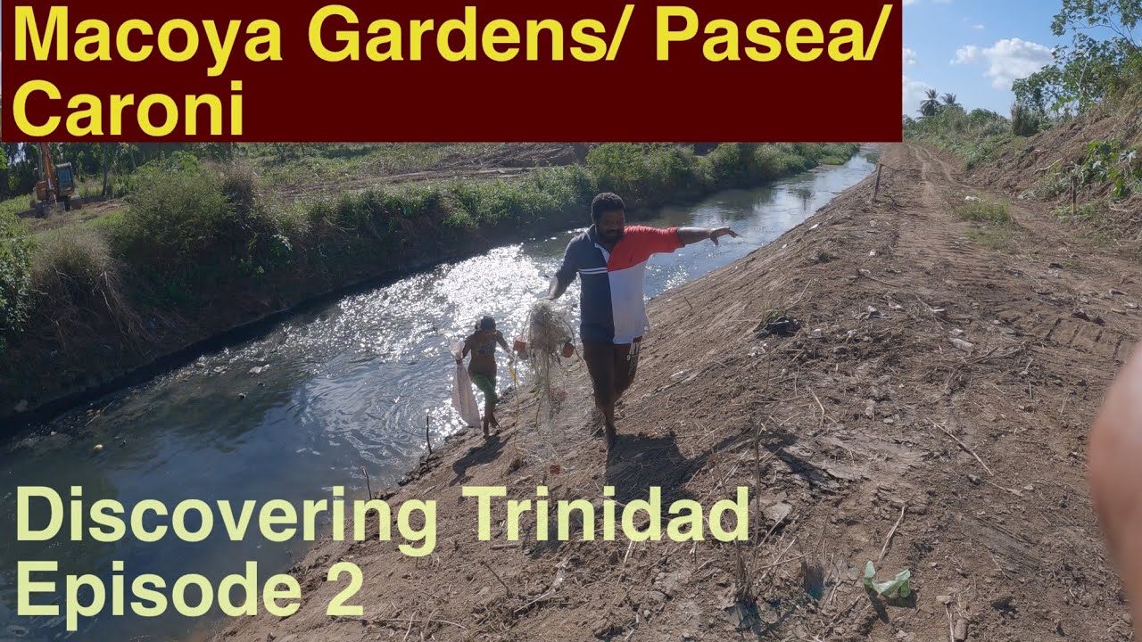 Village Life of Trinidad, its people, culture.