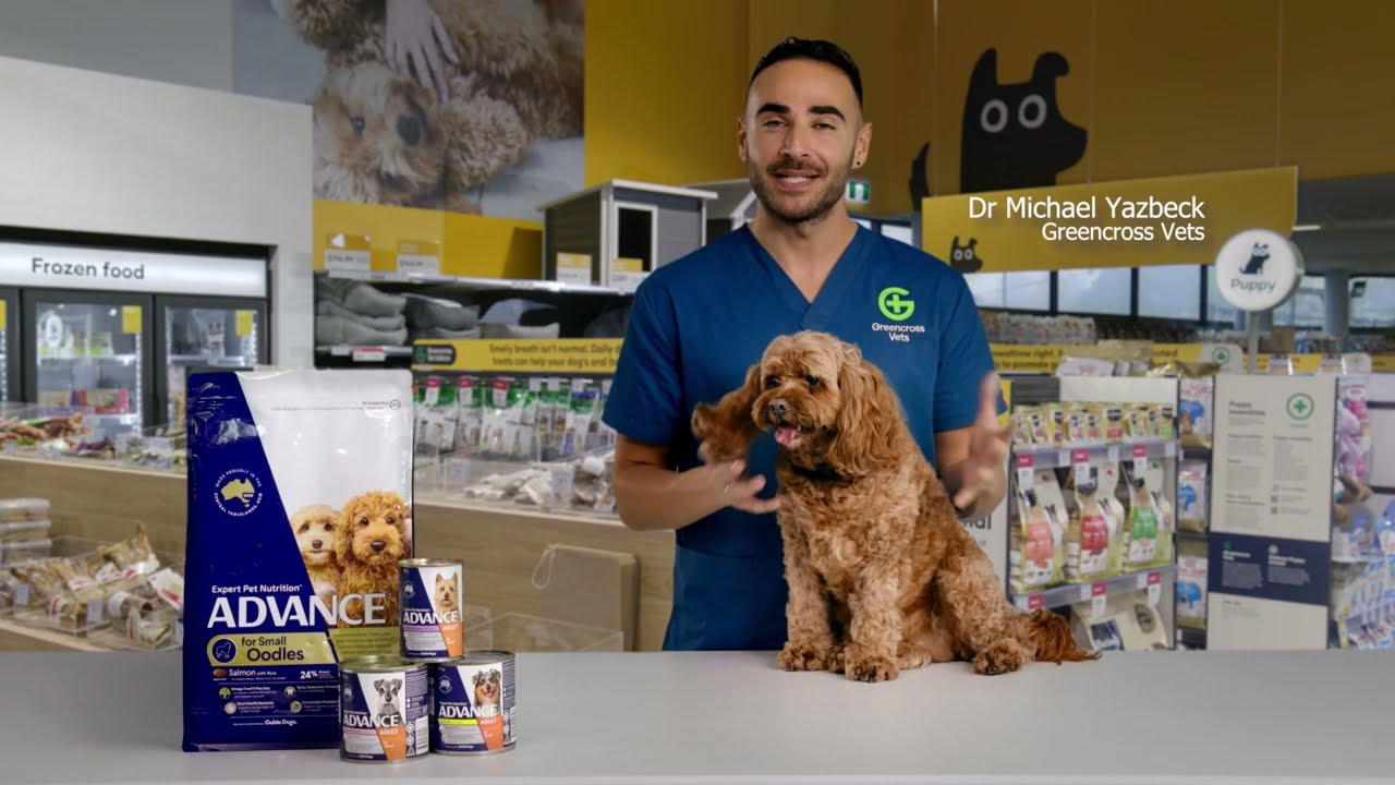 Petbarn PetBreak - ADVANCE Dog Food