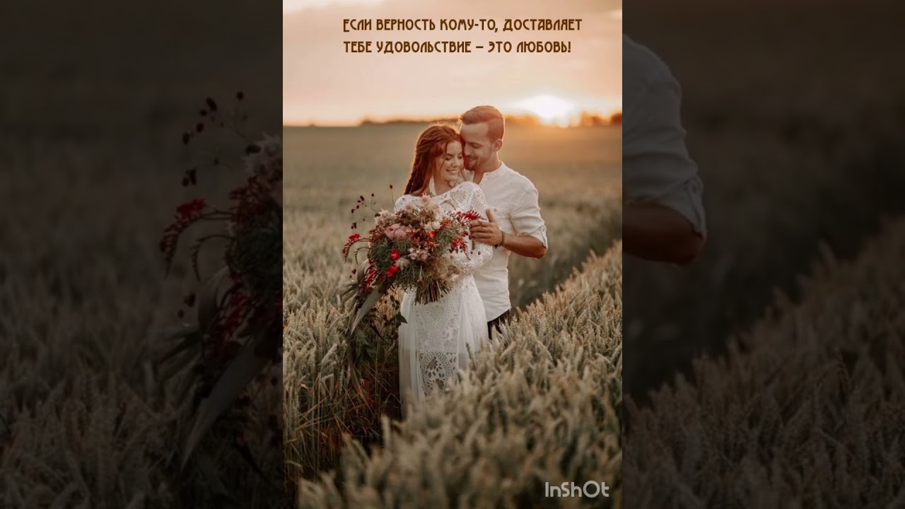 Святая музыка любви(романс)