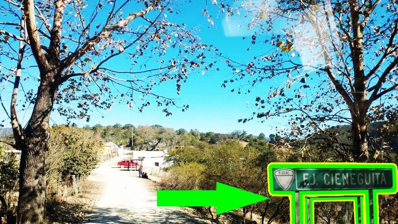 Ejido La Cieneguita de Tula, Tamaulipas