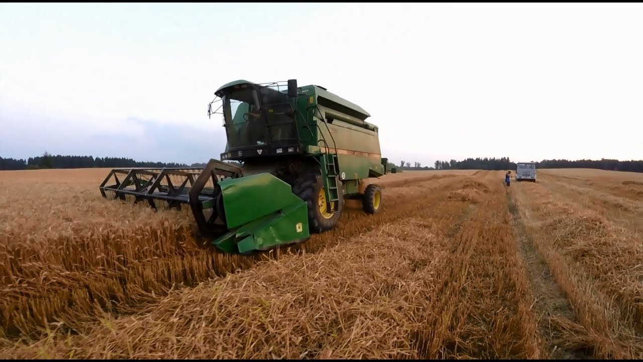 ☆Żniwa ☆ Pszenica 2017☆ John Deere 2054 ☆ Engine Sounds Ursus 1224☆