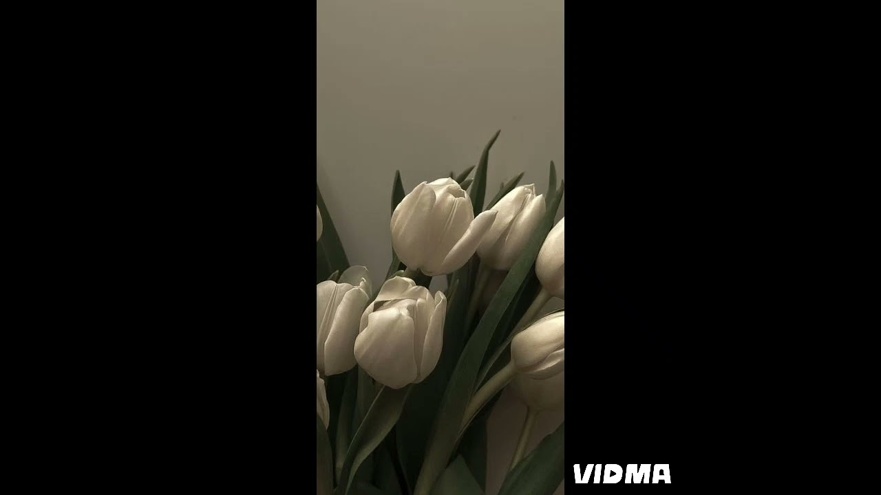 مروان خوري  /  بعشق روحك   بدون موسيقى 🎶