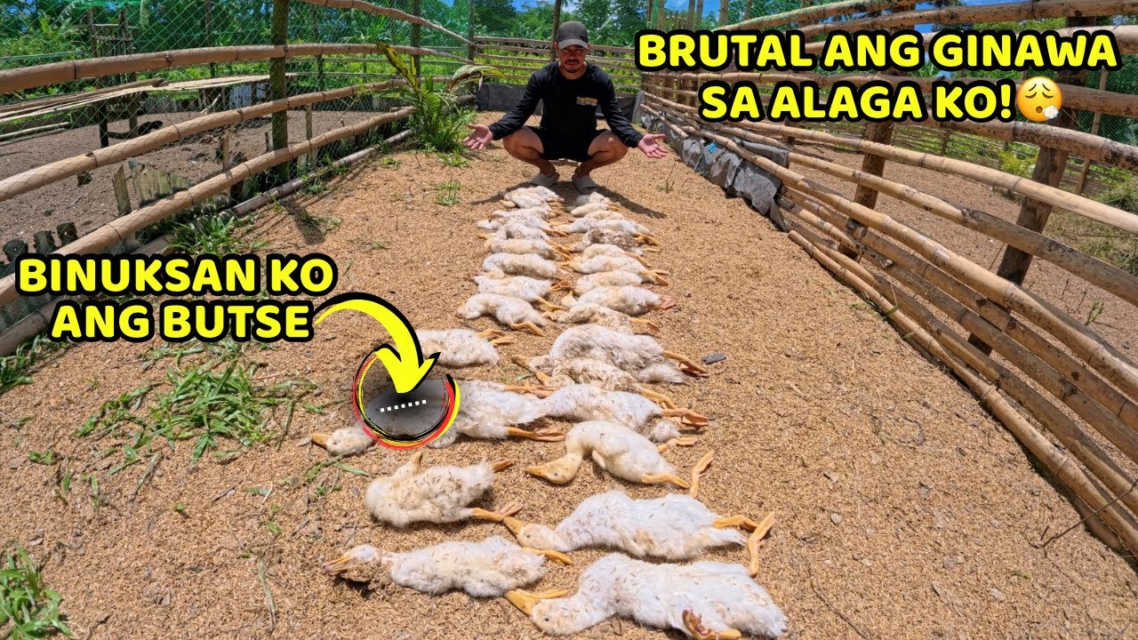 Brutal Ang Ginawa Sa Alaga Ko! - BINUKSAN Ko Ang Butsi, NagPunta kami sa ilog