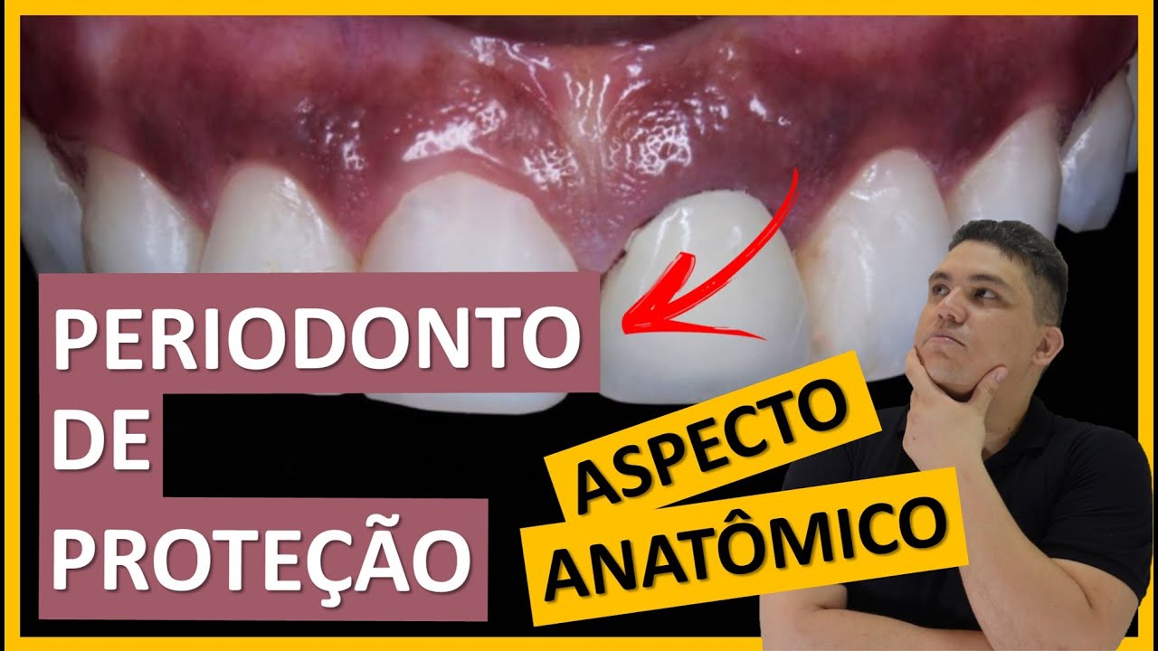 Periodonto de proteção - aspectos anatômicos macroscópicos