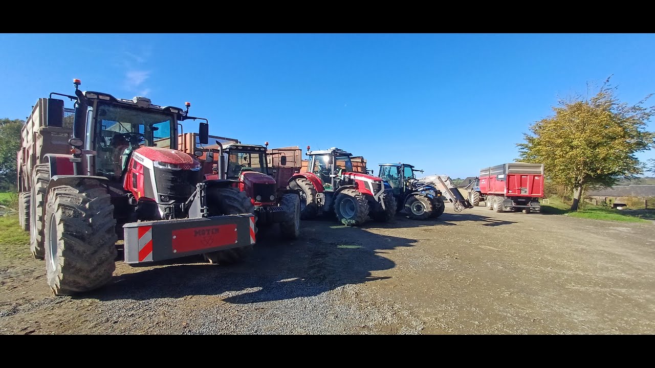 ENSILAGE 2024 à la ferme (ensileuse 12 rangs)