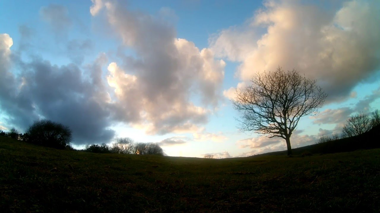 runcam HD2 tree prox2