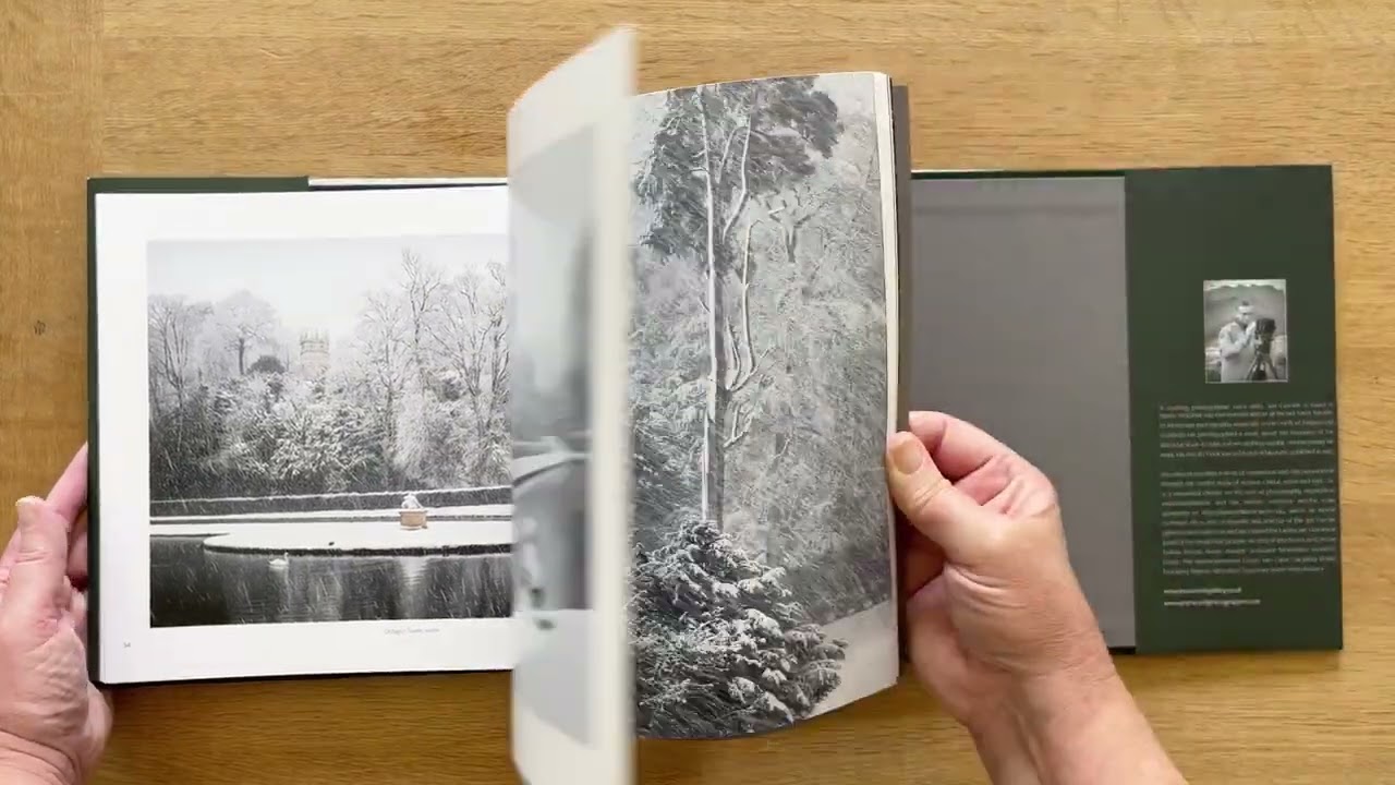 Still Time to Wonder by Joe Cornish