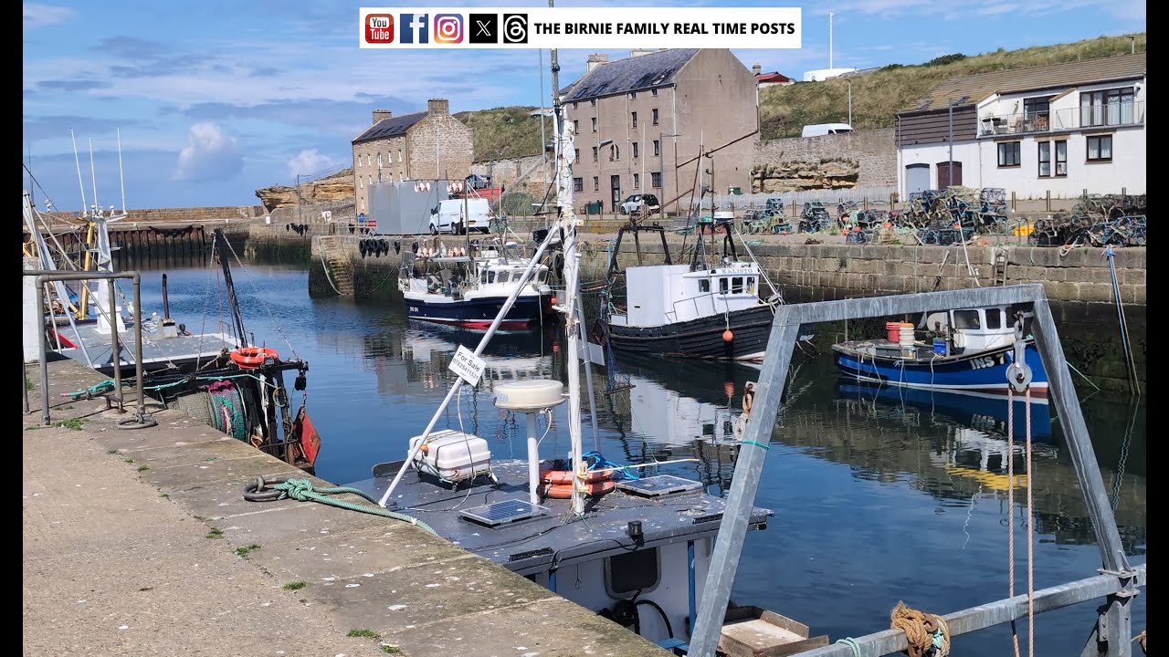 The Seals And Burghead Fishing Harbour | Burghead Holiday Series #2 - BF Scottish Tours / Harbours