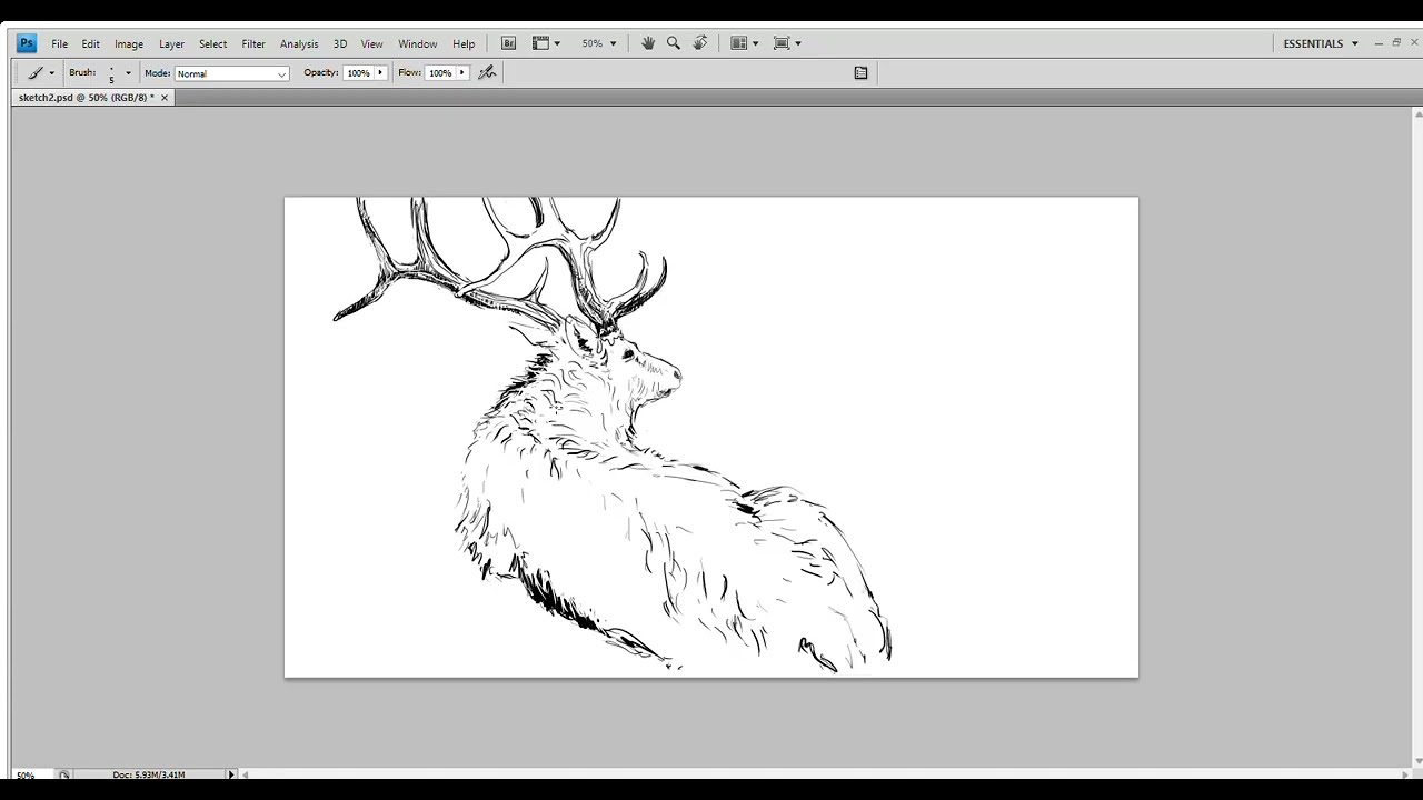 THE BOOK SHOPPE - SKETCHBOOK - Bull Elk